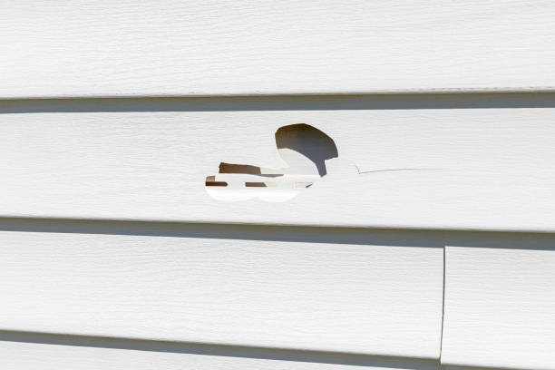 Affordable siding repair and maintenance services in Raymond, WI